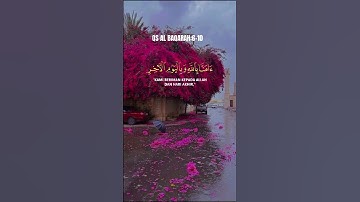 نور القلوب دموع التلاوة