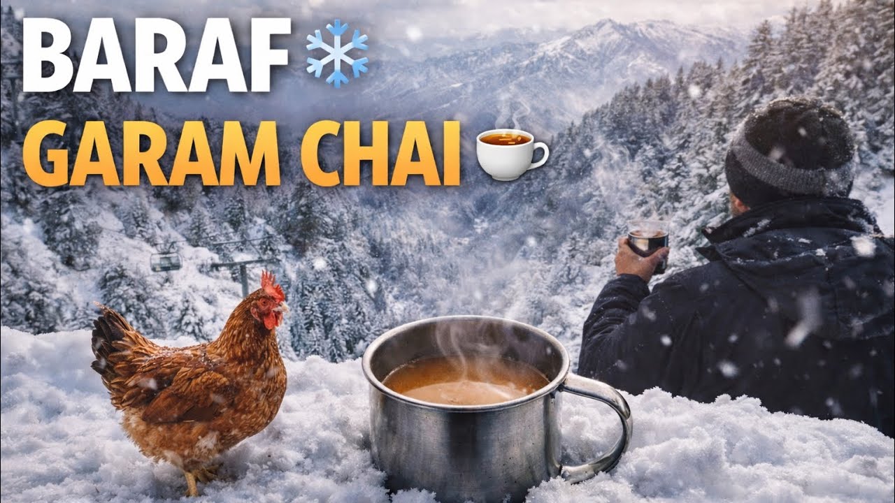 SNOW DAY ❄️ with DESI MURGHA