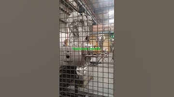 yaskawa robot robot programming