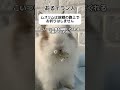 【そりゃそう】あるイラン人「ムスリムは故郷の路上でお祈りはしません」 #shorts
