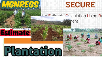 Plantation Estimate In Secure Soft MGNREGS