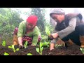 Life With Nature || Video - 46 || Husband & Wife working Together ||