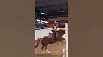 Angel jumping a little grid Xxx #horsesaremylife #equestrian #pony #horse #horseriding