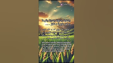 ✨آیه ۳ سوره المائده: خداوند نعمت خود را بر ما کامل کرد و راهنمایی اسلام را به کمال رساند.