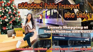 නවසීලන්තයේ public Transport මොන වගේද ? | Luxury Shopping at Louis Vuitton and Gucci | Vlog 34