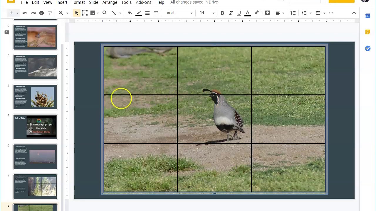 Rule of Thirds and Photo Cropping in Google Slides