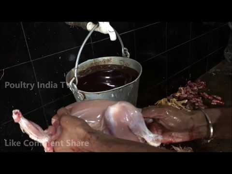 🐓🐔 Chicken Cutting In India in 1 Minute.I Bet American & Israel People Will Not Believe.