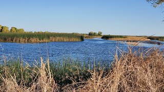 Visit to Colusa National Wildlife Refuge