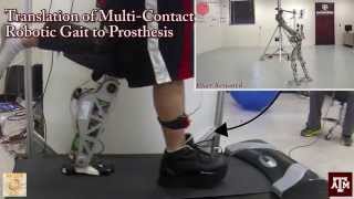 Multi-Contact Prosthesis Walking with AMPRO