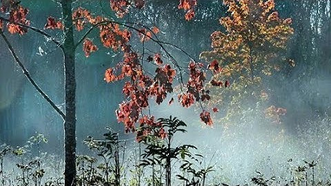 class VIII science chapter -1.3 heat part -5