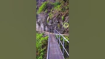 يا ايها الذين امنوا اجتنبوا كثيراً من الظن | سورة الحجرات | احمد خضر