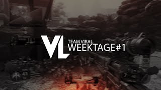 Celebrity TeamViral: Weektage #1 (Multi-Cod) Profile