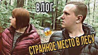 ВЛОГ: Гуляем По ЛЕСУ! Нашли В Чаще ЛЕСА Подозрительные Вещи В Лесу! #влог