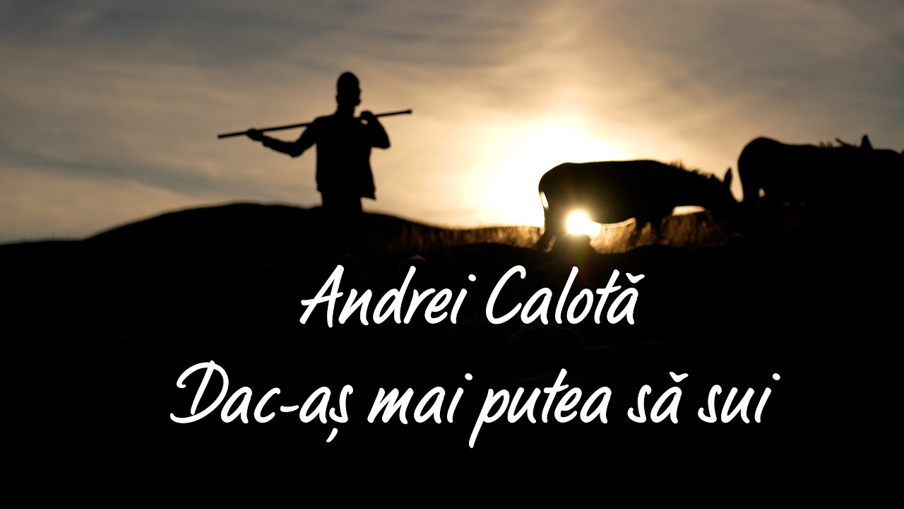 Andrei Calotă - 