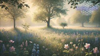 Relaxing Music for a Calm Mind 🕊️| Healing Music 🌼 Meditation Music 🍃 Calm Music 🌿 Yoga Music 🧘‍♀️