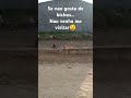 #pets #gatosfofos #animais #gatinhos #youtubeshorts