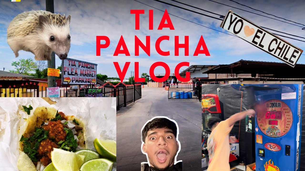 THE BOYS TAKE ON THE PULGA 🤣🇲🇽 **Houston Tia Pancha Pulga Vlog** Vlog