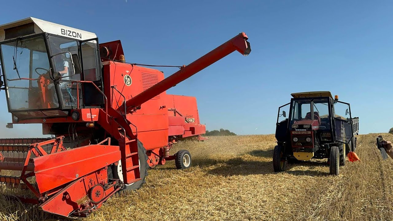 Żniwa w Polsce/ Bizon Z056 w akcji / jęczmień pod kose /ursus c-385