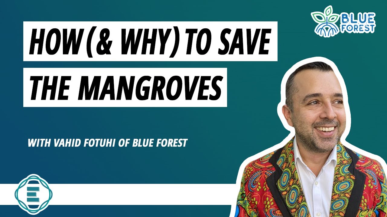 How (& Why) to Save the Mangroves, with Vahid Fotuhi of Blue Forest