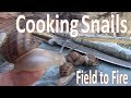 Catch N Cook Snails -Survival Escargot-