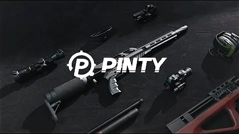 Pinty PCP Air Rifle: High Performance, Low Cost!