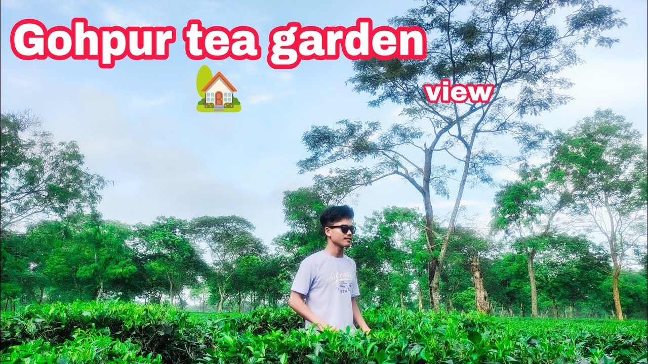 Gohpur tea garden 🏡 Itanagar jane wala tha lekin cancel ho gaya 😭