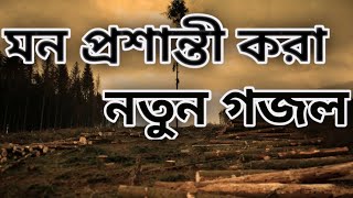 টিকটক হাফেজের কন্ঠে মন জুড়ানো গজল ||আপনি কান্তে বাধ্য হবেন||New Nasheed 2023