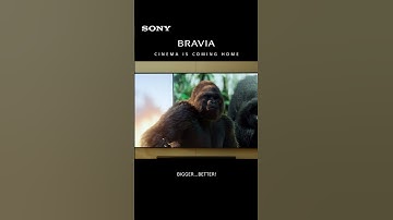 Sony | 2025 BRAVIA Home Theatre Collection | Cinema is coming home | Bigger is better