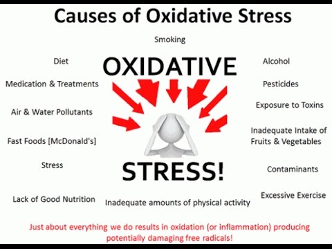 Protandim disfunción eréctil