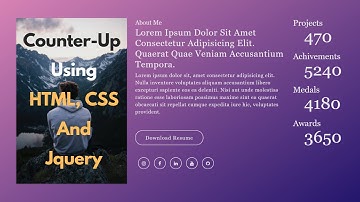 Counter-Up Animation Using HTML, CSS & jQuery | THE WEBFIX