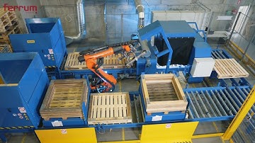 Scanning functionality of automated pallet inspection system - Ferrum Group