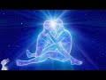 528 Hz The Love Frequency - Manifest Love - Miracle Tone - Heal Old Negative Blockages Blocking Love