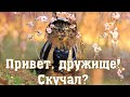 Юмор.Веселые Анекдоты, Приколы для настроения.