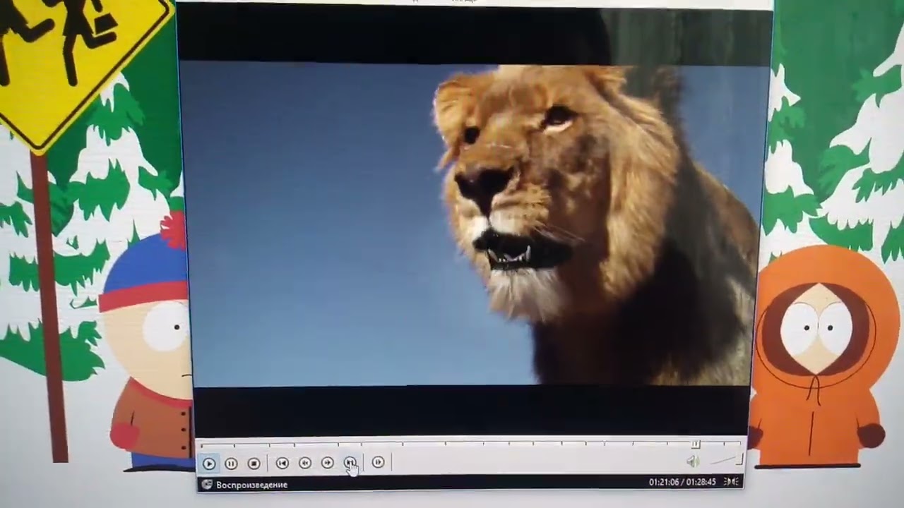 Обзор на DVD-диск «Львиная семейка»