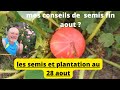 Les semis a faire pour l automne au potager ?