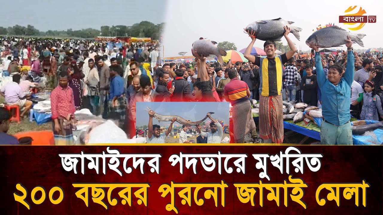 বিনিরাইলের জামাই মেলা যেখানে জামাইয়ের হাতে থাকে মাছ, আর শ্বশুরের হৃদয়ে গর্ব | Bangla TV
