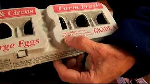 How to Read Chicken Egg Carton Labels: Part 2