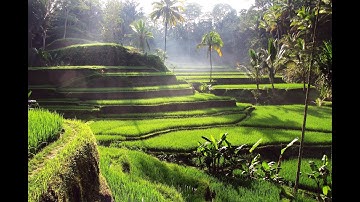 Discovering Indonesia