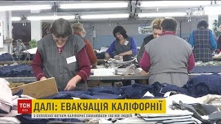 Українські швейні фабрики шиють брендовий одяг на експорт у Європу
