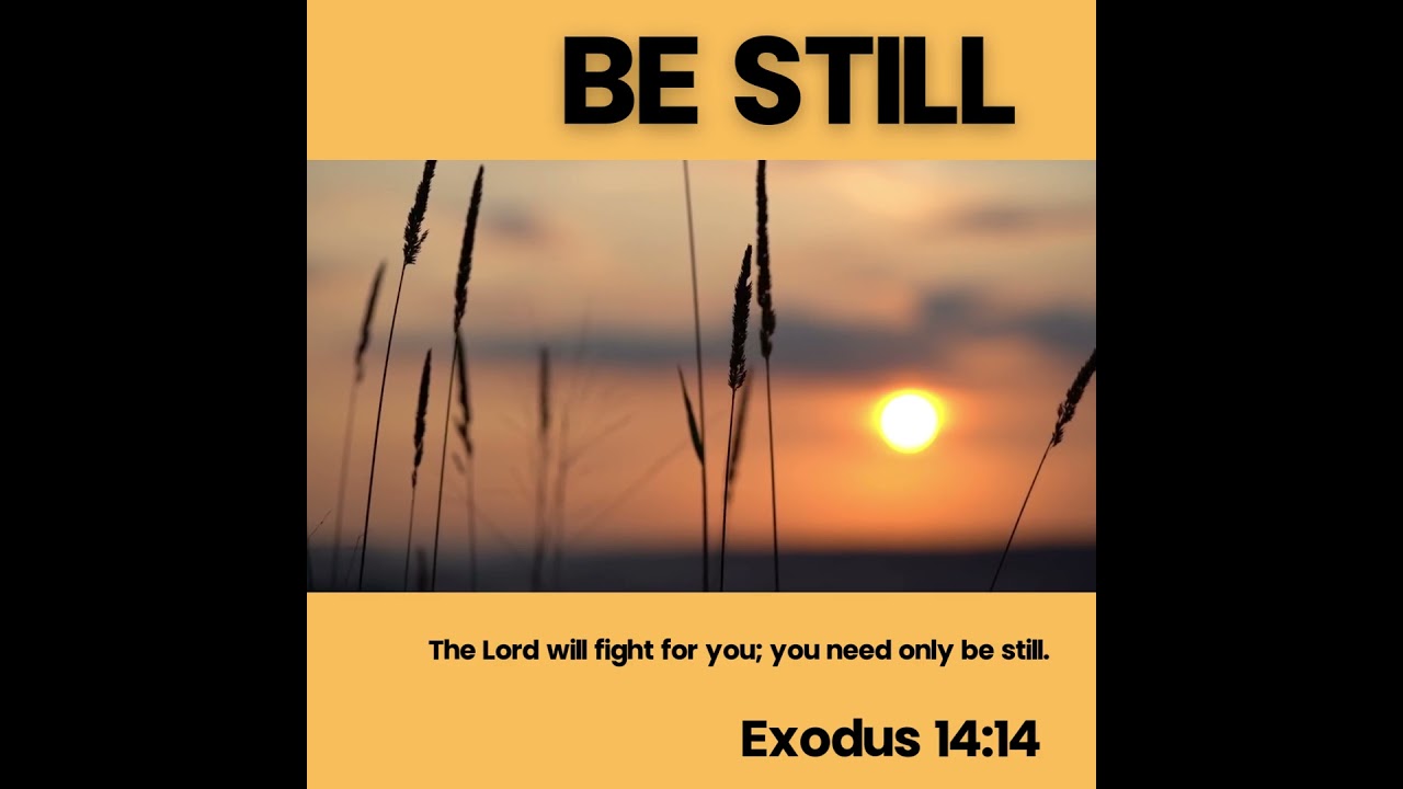 The Lord will fight for you; you need only be still.