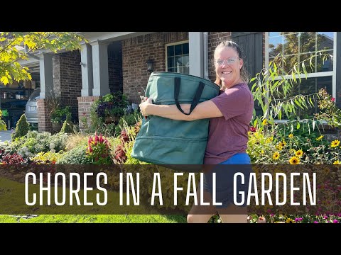 Video: Herfsttuintaken - klusjes voor november in het noordoosten