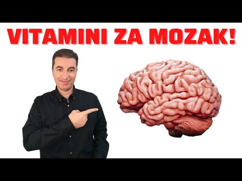 Video: Koji dio mozga kontrolira semantičku memoriju?