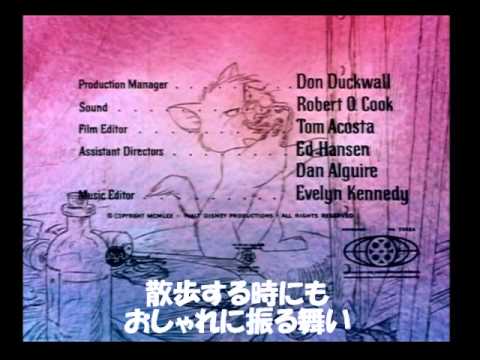 おしゃれキャット Youtube