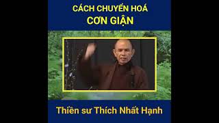 CÁCH CHUYỂN HOÁ CƠN GIẬN  Thiền sư Thích Nhất Hạnh.