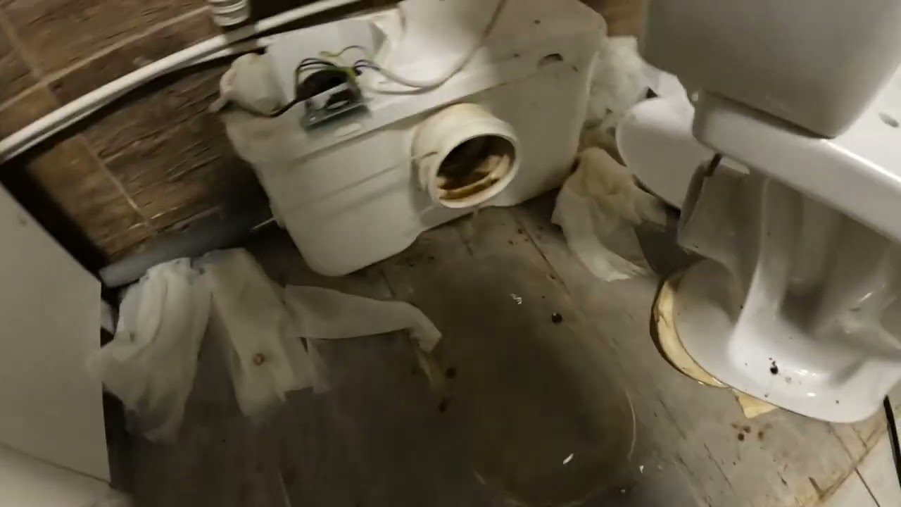 Rohrreinigung 243. Baustelle, die ich nicht retten konnte.