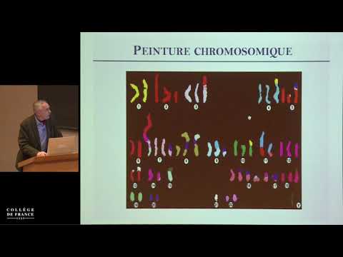 Vidéo: L'analyse Du Transcriptome Du Soja Pendant L'autorégulation De La Mycorhization Identifie Les Facteurs De Transcription GmNF-YA1a / B Comme Régulateurs Positifs De La Myc