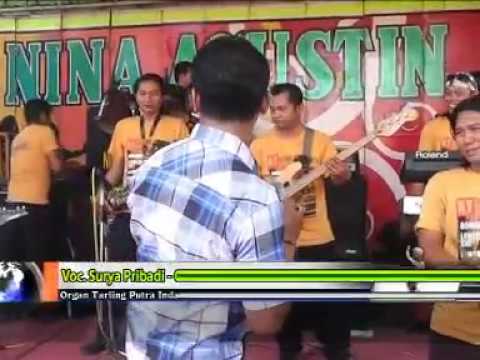 CINTA SEJATI || VOC. SURYA PRIBADI || ORGAN TARLING PUTRA INDAH NINA AGUSTIN