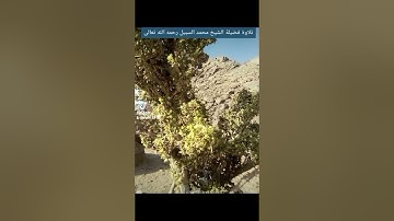 ١٩ أبريل ٢٠٢٢تلاوة فضيلة الشيخ محمد بن عبد الله السبيل رحمه الله تعالى