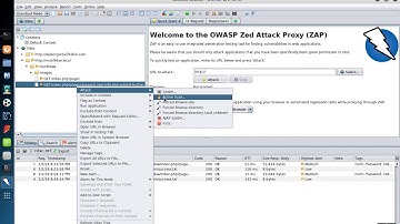 OWASP ZAP: Web App Vulnerability Assessment (Single Page)
