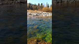 Beautiful Mountain rivers Forest Poland natural sound of the river Landscape relaxing river sounds screenshot 2